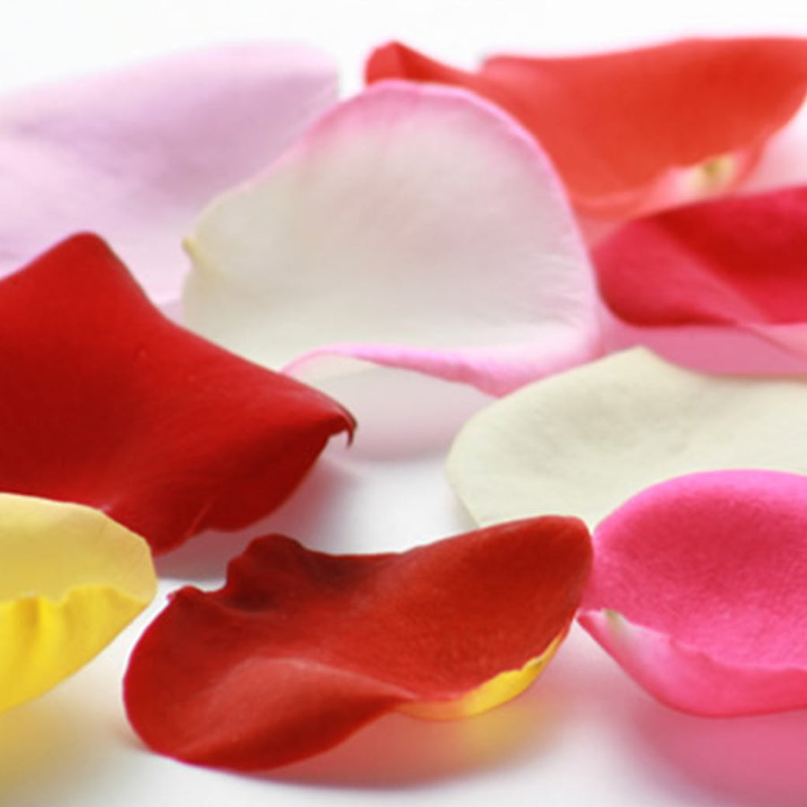 Fresh Rose Petals - Flower Box Melbourne