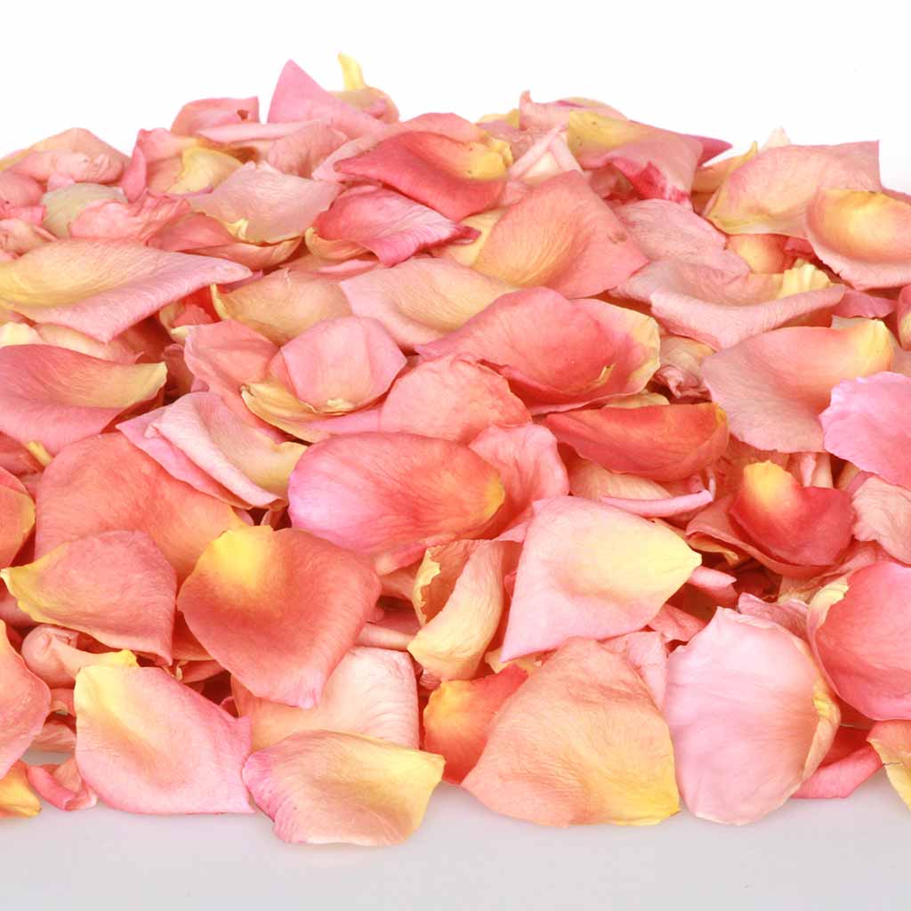 50 fashion cups ( 10 liters) of Pink and Ivory. Dried Rose Petals. Natural rose petals. Beautiful for your special day.