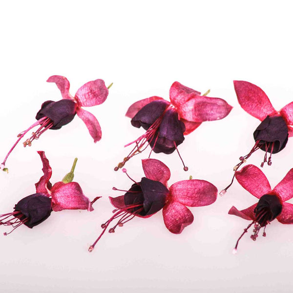 Pink Glam™ Organic Fuchsia - Freeze Dried Edible Flowers