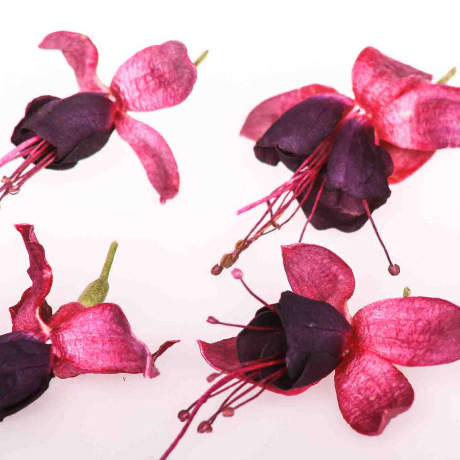 Dried Edible Flowers for Cake Decorating