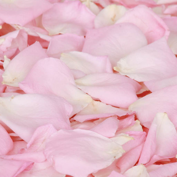 Preserved rose petals - Pale pink