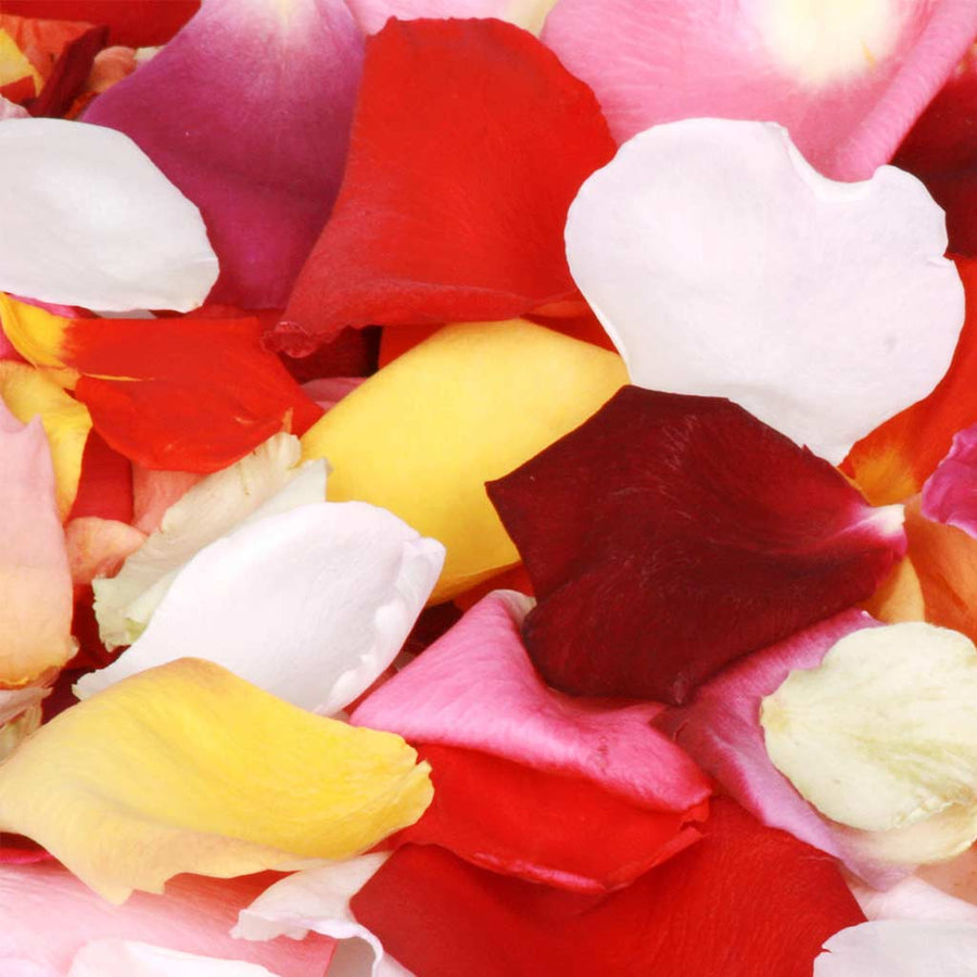 Eco-friendly Freeze Dried Rose Petal Confetti Dried Flower Petals