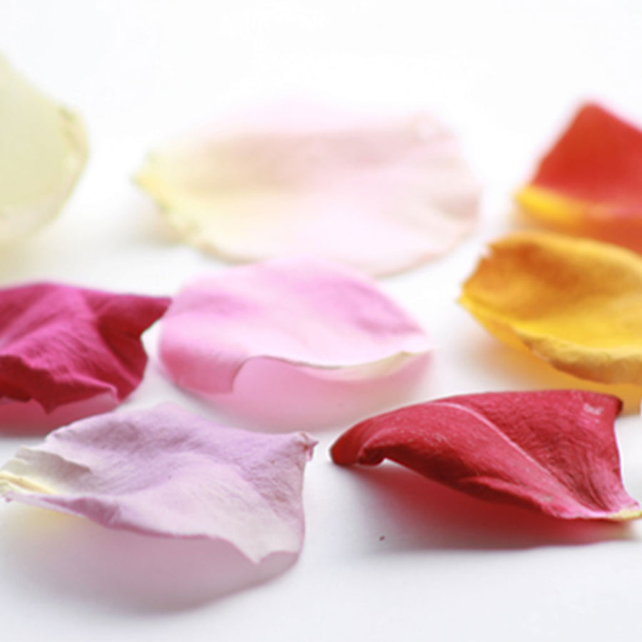 Vivid Colour™ Organic Freeze Dried Edible Flowers