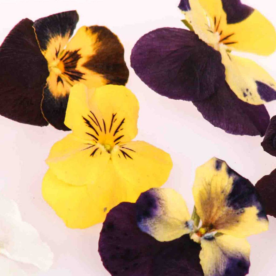 Bloomish Freeze Dried Edible Flowers